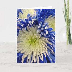 Grußkarte - Blue & White Spider Mums Karte