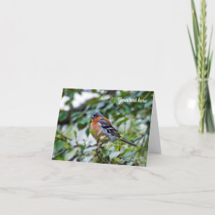 Grußkarte Buchfink Vogel Dankeskarte