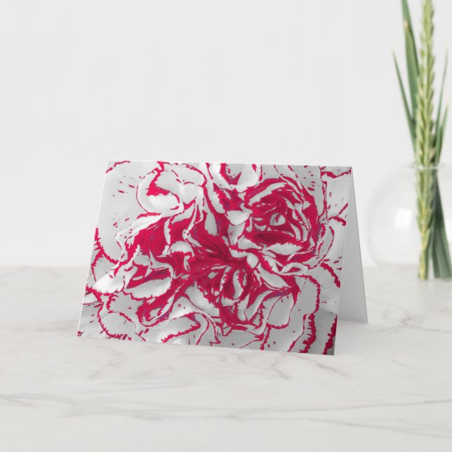 Grußkarte - Carnation in Rot und Weiß Karte (Vorderseite)