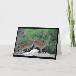 Grußkarte Deer Tarjeta de felicitacion Ciervos Karte
