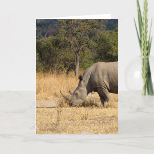 Grußkarte der Familie Rhinoceros Karte