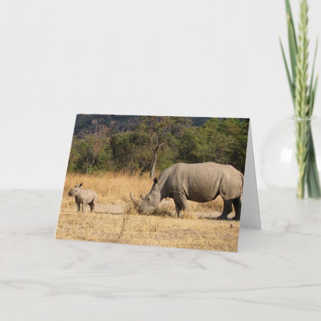 Grußkarte der Familie Rhinoceros Karte (Vorderseite)