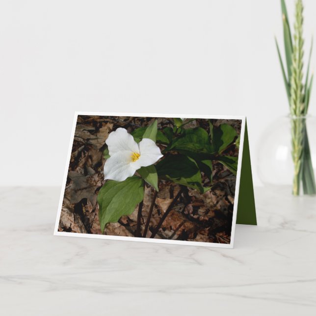 Grußkarte der philosophischen Blume Karte (Vorderseite)