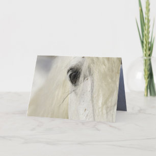 Grußkarte des Camargue-Stallion für das Auge Karte