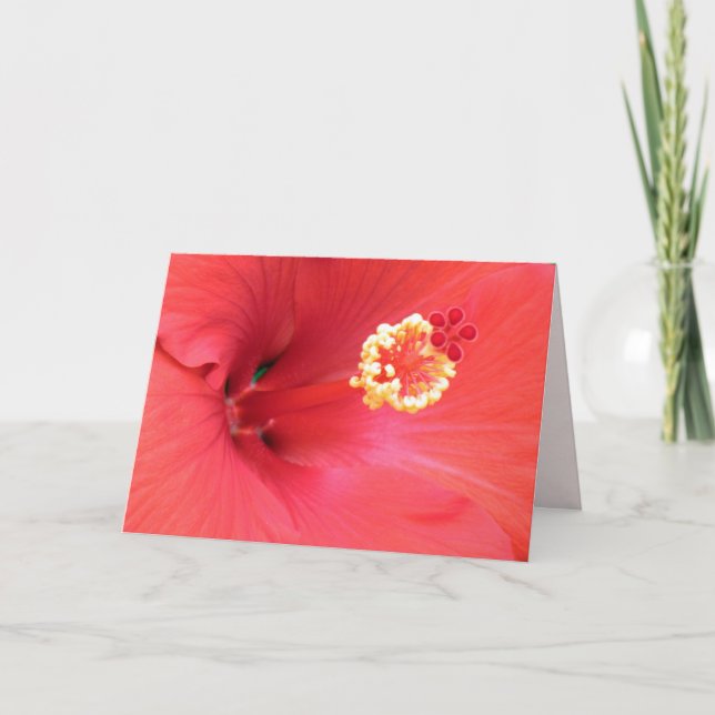 Grußkarte des roten Hibiskus Karte (Vorderseite)