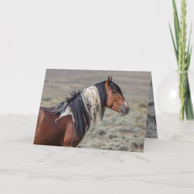 Grußkarte des Stallion-Wild-Pferdes mit stumpfen F Karte (Vorderseite)