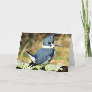 Grußkarte des verbundenen Kingfisher Karte