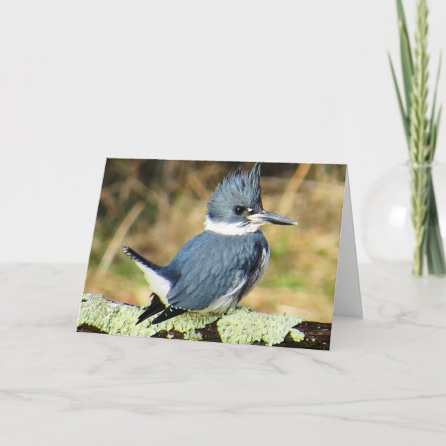 Grußkarte des verbundenen Kingfisher Karte (Vorderseite)