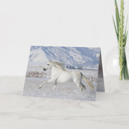 Grußkarte des weißen Schneehengstes Karte