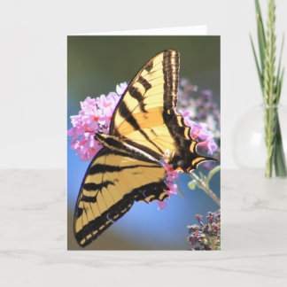 Grußkarte, die gelben Schmetterling kennzeichnet Karte
