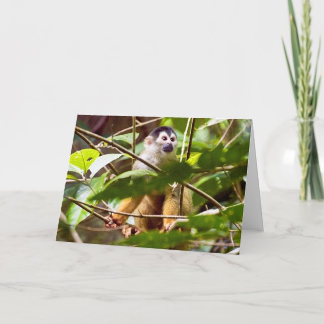 Grußkarte Eichhörnchen Karte (Vorderseite)