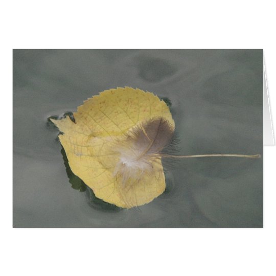 Grusskarte Feder auf gelbem Blatt im Wasser,blanko Karte