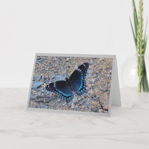 Grußkarte - Frack Butterfly Karte