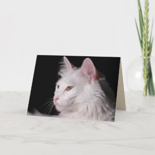 Grußkarte für Angora Katze Karte
