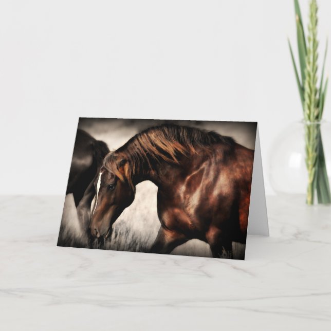 Grußkarte für Band-Stallion Karte (Vorderseite)