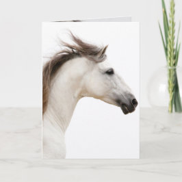 Grußkarte für das Weiße Pferd Karte