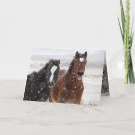 Grußkarte für das wilde Pferd Snow Colts Karte