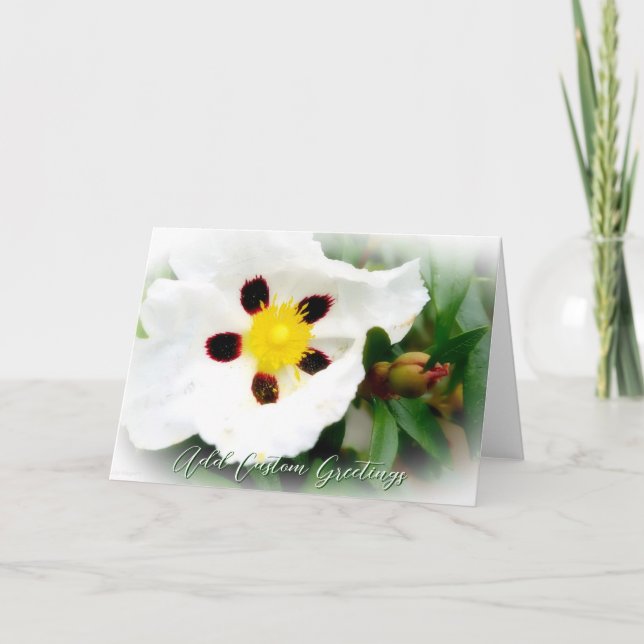Grußkarte für die Blume, weiß und hell Karte (Vorderseite)