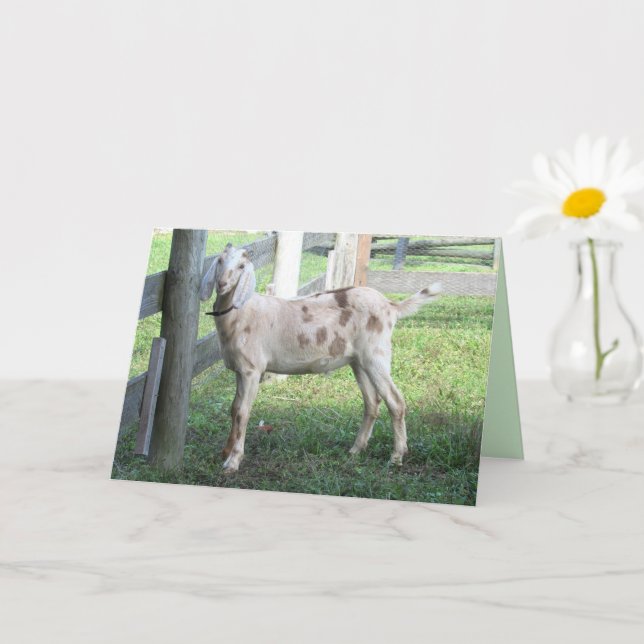 Grußkarte für eine schöne Floppy Eared Goat Karte (Kleine Pflanze)