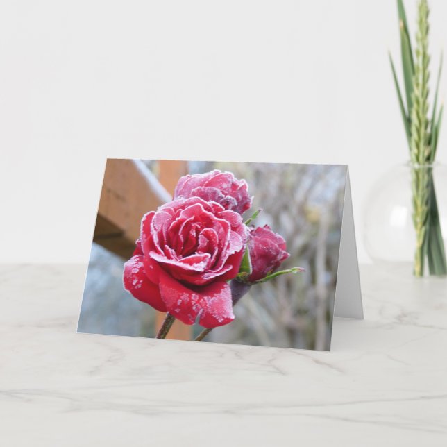 Grußkarte für gefrorene Rose Karte (Vorderseite)