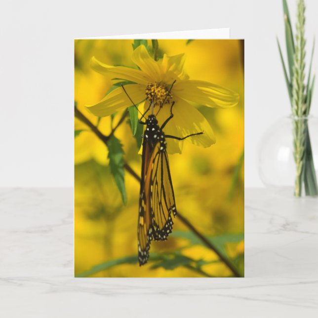 Grußkarte für gelbe Blumen Karte (Vorderseite)