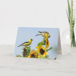 Grußkarte für Goldfinken und Sonnenblumen Karte
