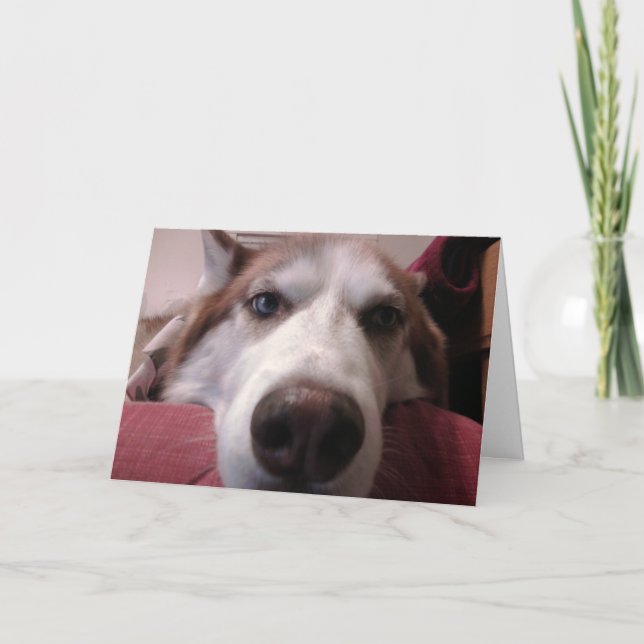Grußkarte für Hunde Karte (Vorderseite)