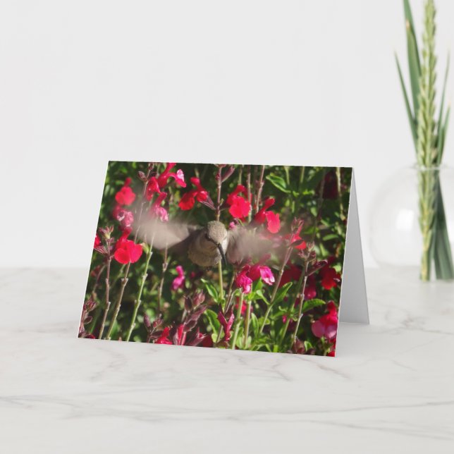 Grußkarte für Joyful Hummingbird Karte (Vorderseite)