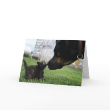 Grußkarte für Kitten und Hunde