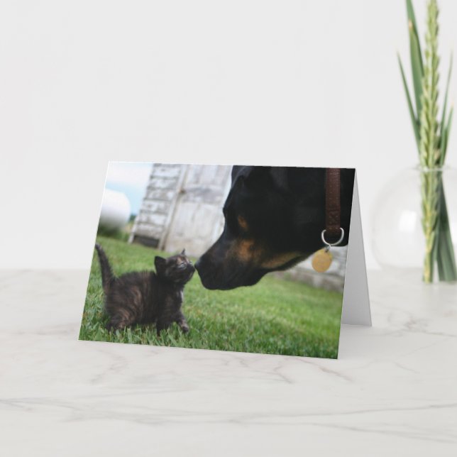 Grußkarte für Kitten und Hunde Karte (Vorderseite)