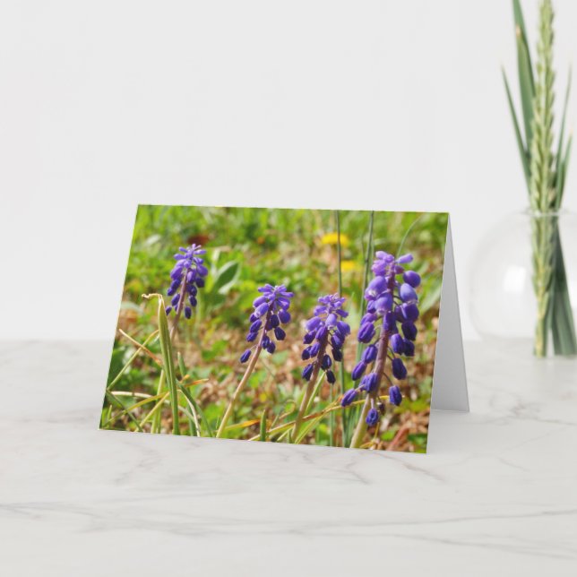 Grußkarte für lila Blume Karte (Vorderseite)