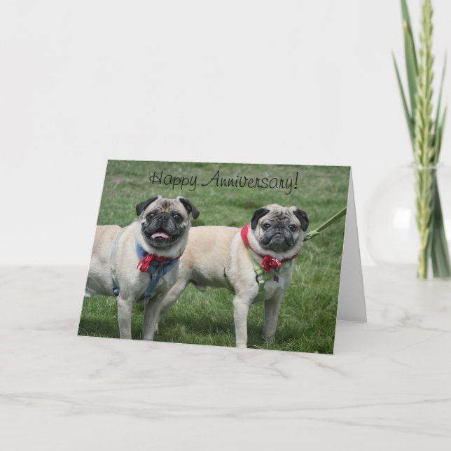 Grußkarte für Mops zum Jubiläum Karte (Vorderseite)