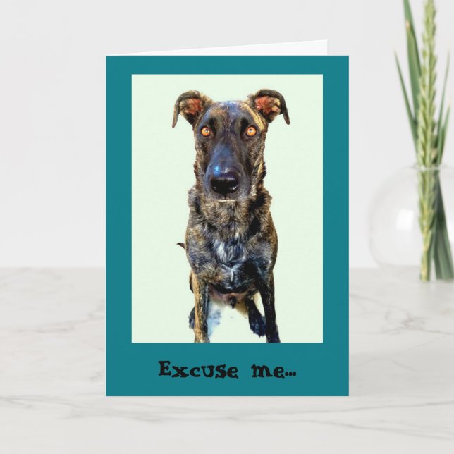 Grußkarte für niedliche Hunde Karte (Vorderseite)
