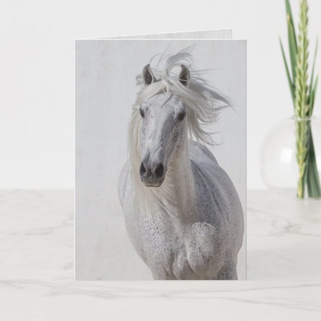 Grußkarte für Pferde - Der weiße Stallion rennt ho Karte (Vorderseite)