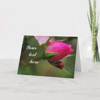 Grußkarte für Rose und Ladybug Karte