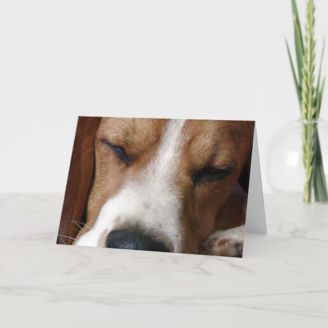 Grußkarte für schlafende Beagle Karte (Vorderseite)