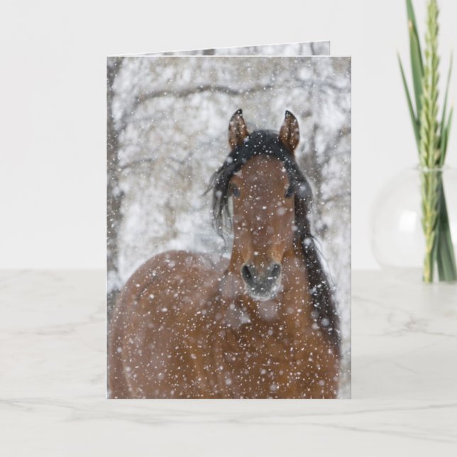 Grußkarte für Schneehengst Feiertagskarte (Vorderseite)
