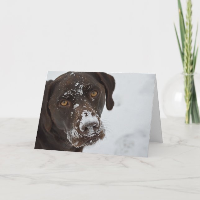 Grußkarte für Schokolade Labrador Karte (Vorderseite)