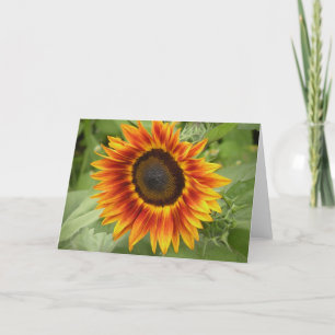 Grußkarte für Sonnenblumen Karte