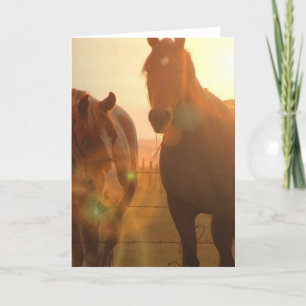 Grußkarte für Sunset Horses Karte