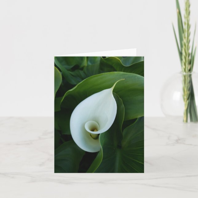 Grußkarte für weiße Calla-Blätter Karte (Vorderseite)