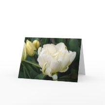 Grußkarte für weiße Tulips
