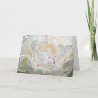 Grußkarte für weißes Peony Blank Foto Karte