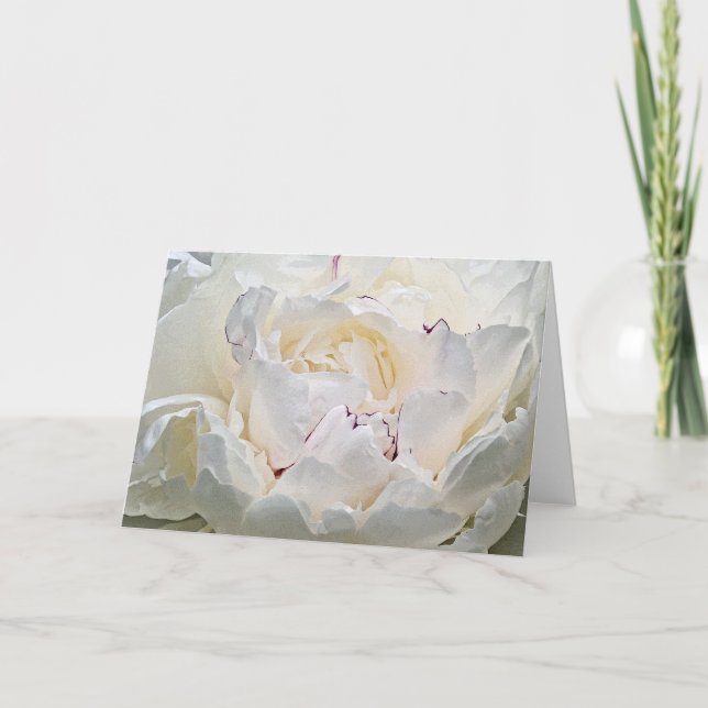 Grußkarte für weißes Peony Blank Foto Karte (Vorderseite)