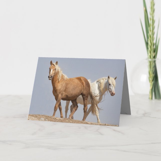 Grußkarte für Wild Mares Wild Horse Karte (Vorderseite)