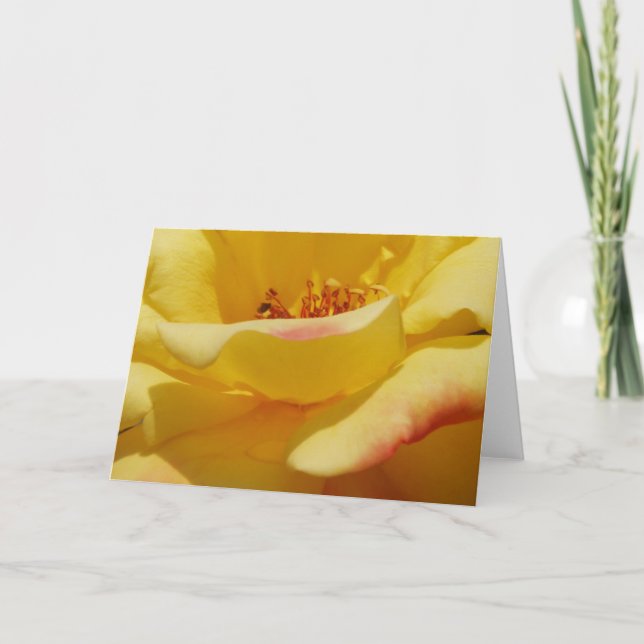 Grußkarte Gelb Rose Karte (Vorderseite)