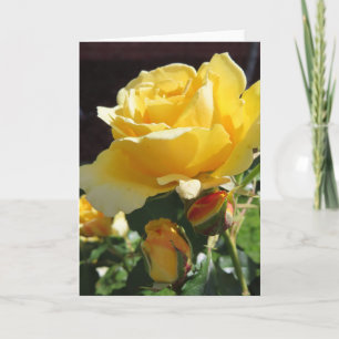Grußkarte Gelbe Rosen Ankündigung