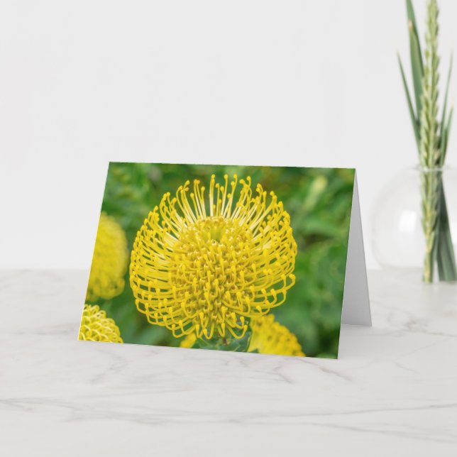Grußkarte - Gelber Tee bei Kirstenbosch Karte (Vorderseite)