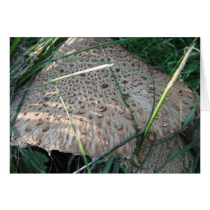 Grusskarte gemusterter Pilzhut, Decke