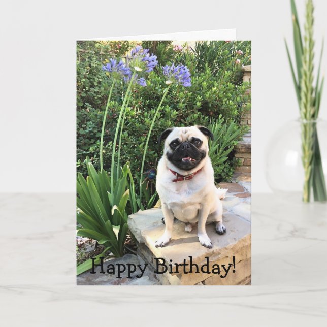 Grußkarte: Gerne zum Geburtstag! Karte (Vorderseite)
